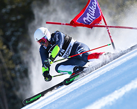 b blardone paletto neve