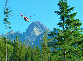 b elicottero alberi montagna