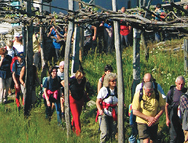 b giro frazioni montecrestese