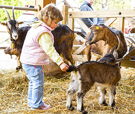 b bimbo Mostra Capretto StudioRDS1