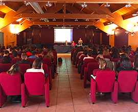 b liberalis lions graffiti