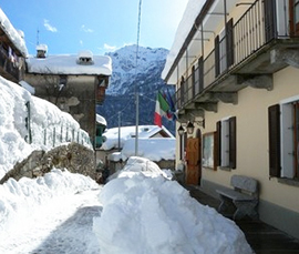 b trasquera comune neve