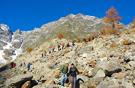 b deposizione lumini belvedere rosa