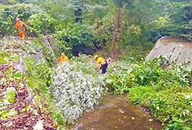 b volontari aib rio bacenetto