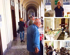 b minerali mostra rosmini 16