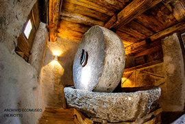 b torchio malesco Massimiliano Riotti