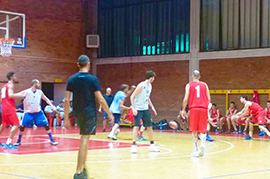 b vinavil basket urania