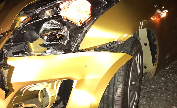 Cosasca: auto contro cervo