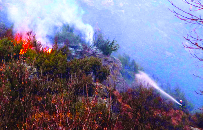 Massima pericolosità incendi per il caldo torrido: allerta dalla Regione 