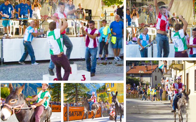 palio asini premosello 16