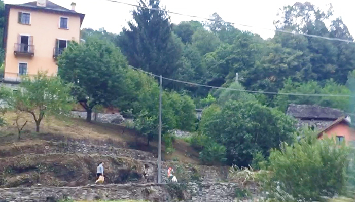 Profughi a Trontano, arrivati i primi sette, ci sono 25 posti. Il sindaco: "Preoccupati per il numero"