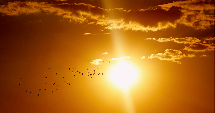 L'ondata di caldo intenso sino al 9 agosto. A Domo previsti 39 gradi