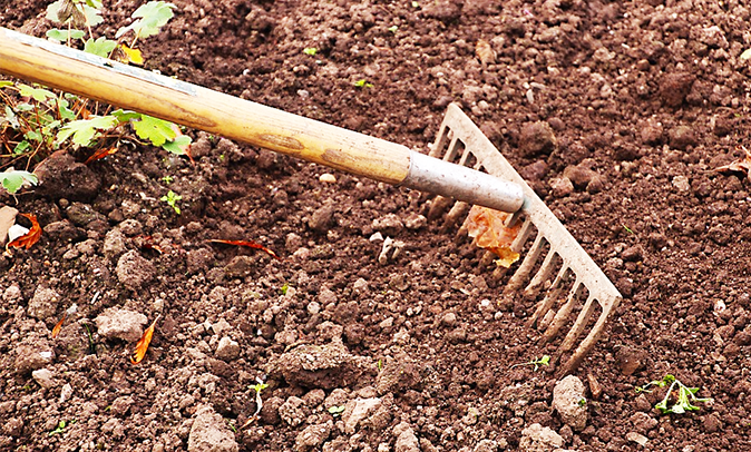 "Coltiva un terrazzamento", un progetto di agricoltura sostenibile. Nuovo editoriale di Pier Franco Midali