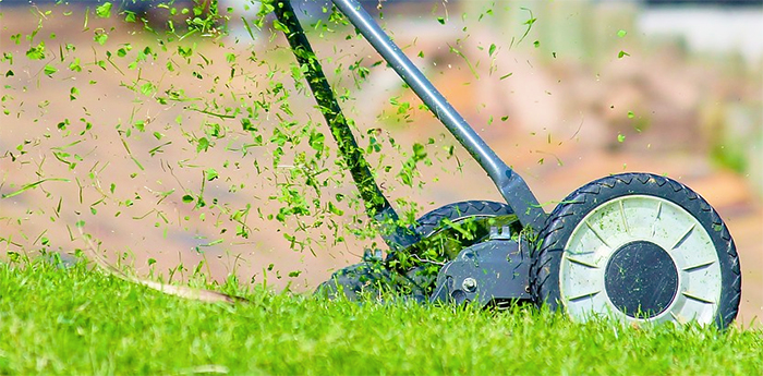 Verde pubblico, nuovo regolamento per i domesi