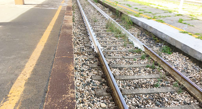 Incendio sterpaglie a Cuzzago, trenta minuti di ritardo sui treni
