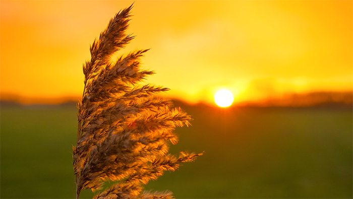Meteo: da Arpa allerta per il gran caldo in arrivo. Previsti anche 38 gradi