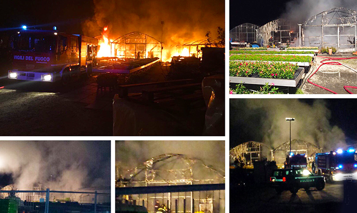 Incendio nella notte, brucia l'azienda florivivaistica Prelli. Foto