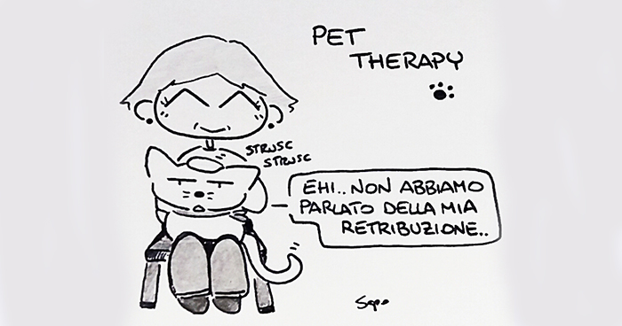 sapo 17 5 17 pet