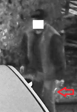 taglia gomme telecamera