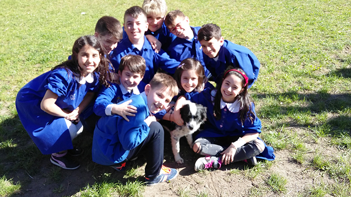 Parte alle scuole Milani il progetto “Baullismo: una zampa contro il bullismo”