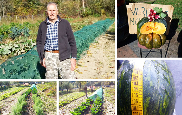 Banchetti di verdure e ortaggi a km zero, la storia del pensionato-coltivatore di Migiandone