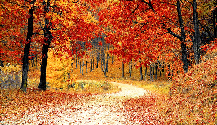 L'ultimo giorno d'estate. Venerdì l'equinozio d'autunno