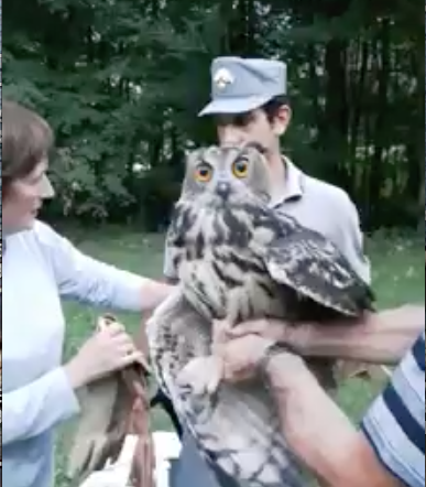 Schermata 2018 08 22 alle 10.31.05