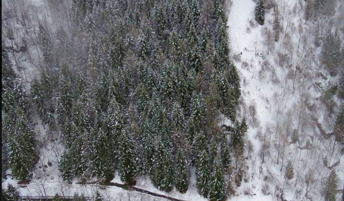 Neve al Devero: 30 centimetri di fresca, chiusa la strada in attesa dello scaricamento