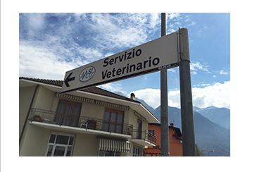 Schermata 2018 12 24 alle 11.58.56