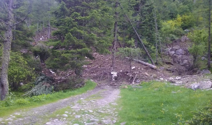 Alberi sradicati, sassi e terra. Ecco cosa rimane dopo una valanga. Fotogallery in val Quarazza
