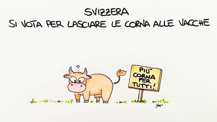 Il referendum sulle corna delle vacche nella nuova vignetta di Sapo 
