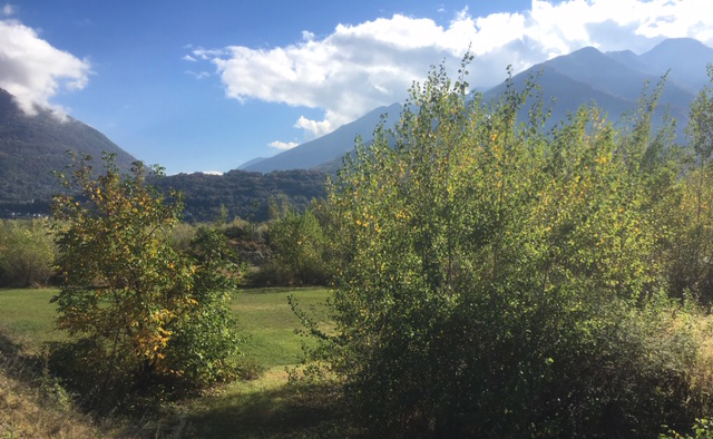 area casa riposo prato