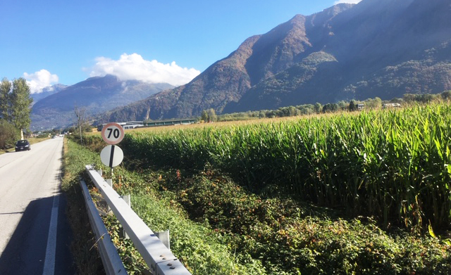 campo rettilineo villa