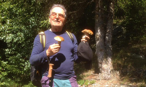 disperso funghi vigezzo