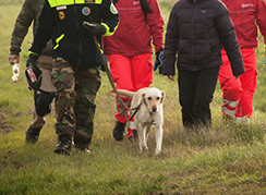 corta cane squadra ricerche