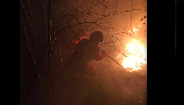 fiamme bosco aib incendio