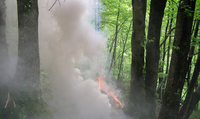 Sotto controllo gli incendi divampati nei giorni scorsi, ma l'allerta resta alta 