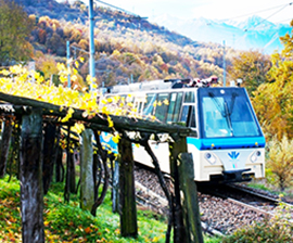 270.verticale Vigezzina autunno 2010 2 low1