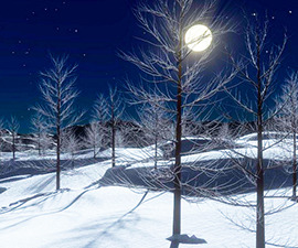 corta luna neve alberi notte