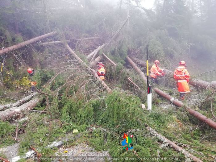 Gli Aib del VCO in aiuto al Bellunese colpito dal maltempo - Fotogallery  