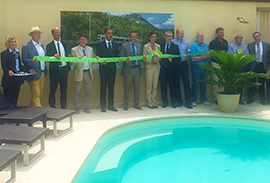 b bls filo verde presentazione