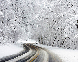 corta neve strada bosco