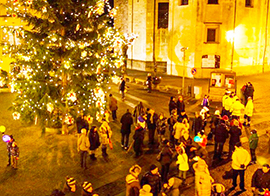 corta sm maggiore natale