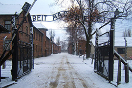 corta aushwitz entrata scritta