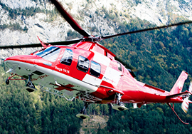 corta elicottero rega