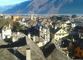 corta piedimulera alto