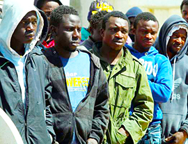 corta profughi generici