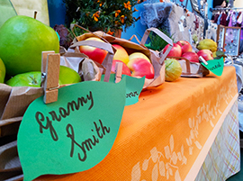 corta MeleMiele 2014