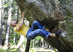 corta foppiano builder