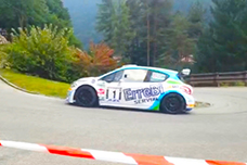 corta perico zornasco